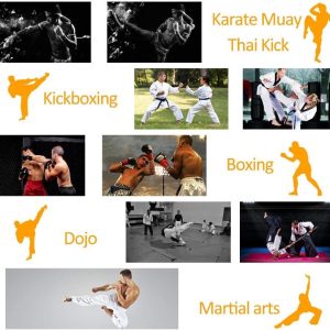 Manopla De Boxeo Legion Golpeadores Kick Boxing Profesional