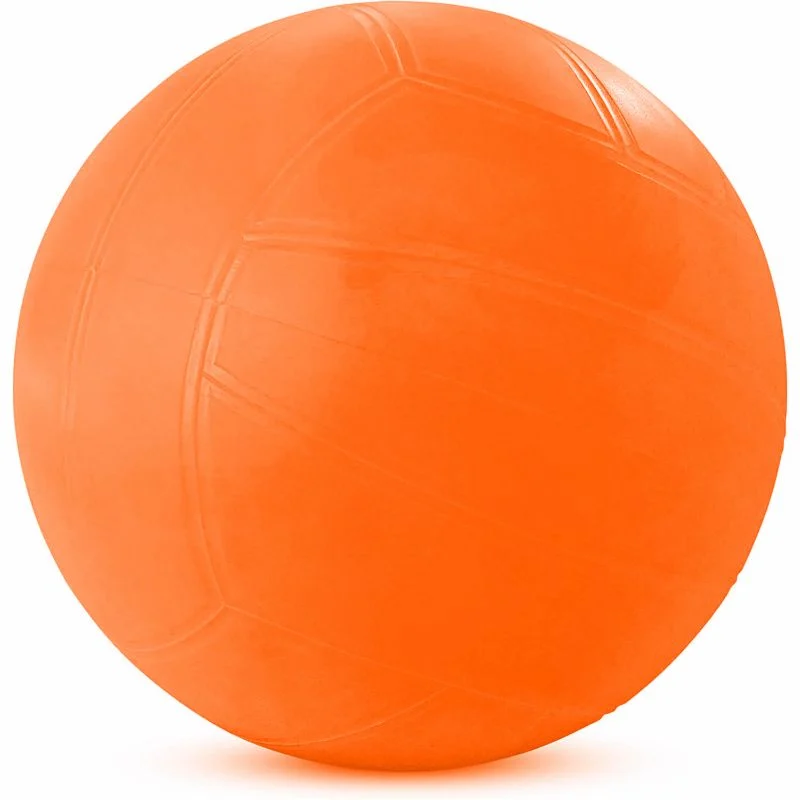 Balón Fundamentación Para Voleibol Pelota Deporte Recreación