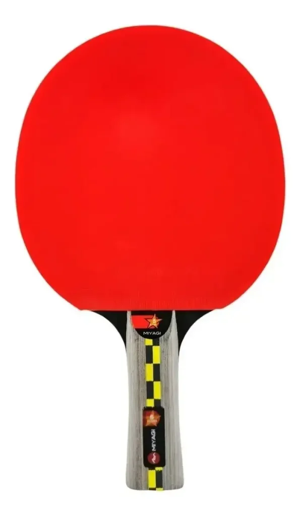 Kit Raqueta Ping Pong 5 Estrellas + Pelotas Tenis Mesa
