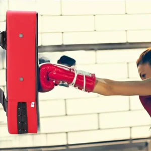 Pao Boxeo Pad Artes Marciales Paleta Karate Taekwondo